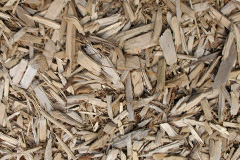 biomass boilers Steeple Claydon